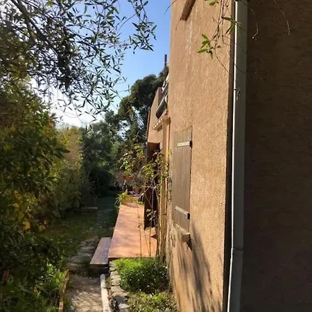 Avec Grand Jardin Au Centre De St Florent Saint-Florent (Corsica)