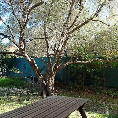 Avec Grand Jardin Au Centre De St Florent Saint-Florent (Corsica)